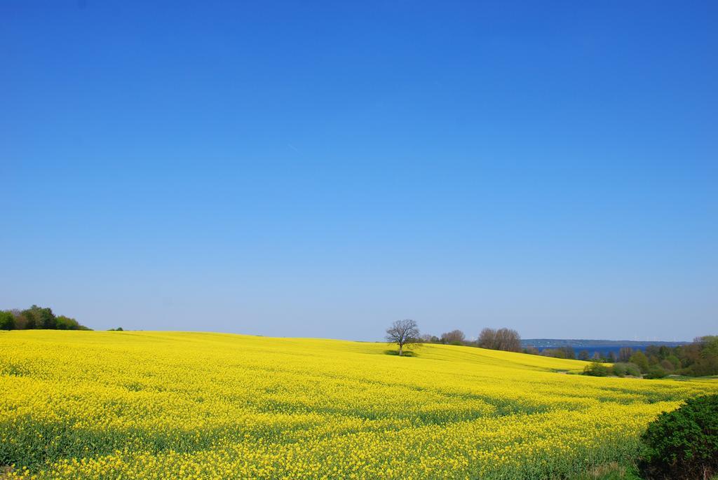 Meine Ecke 1 Eckernförde Eksteriør bilde